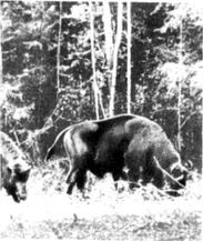 Разум побеждает: Рассказывают ученые - i_031.jpg