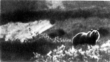 Разум побеждает: Рассказывают ученые - i_033.jpg