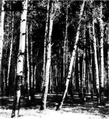 Разум побеждает: Рассказывают ученые - i_034.jpg