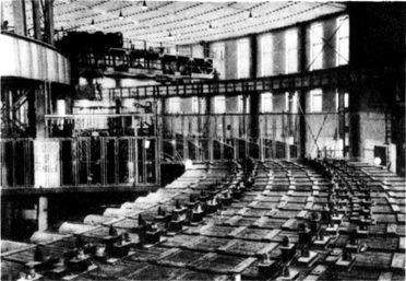 Разум побеждает: Рассказывают ученые - i_044.jpg