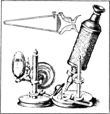 Разум побеждает: Рассказывают ученые - i_046.jpg