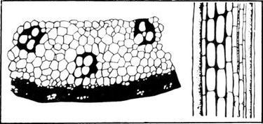 Разум побеждает: Рассказывают ученые - i_047.jpg