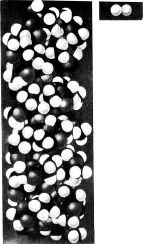 Разум побеждает: Рассказывают ученые - i_050.jpg
