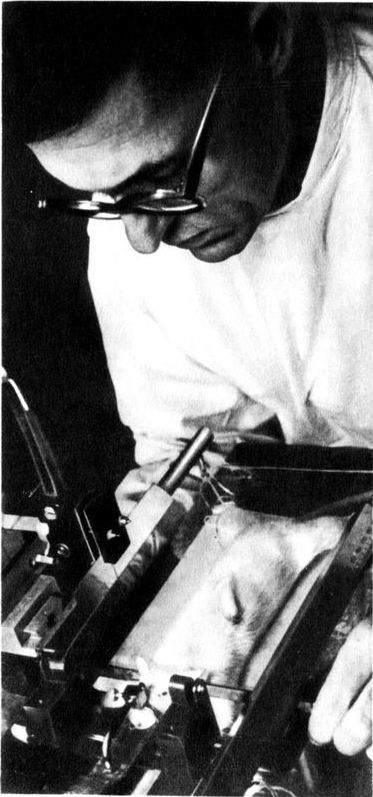 Разум побеждает: Рассказывают ученые - i_052.jpg