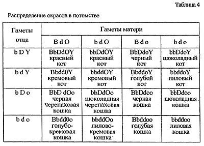 Кошки. Генетика и племенное разведение - t4.jpg