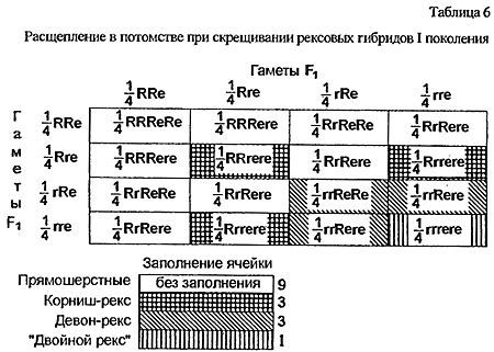 Кошки. Генетика и племенное разведение - t6.jpg