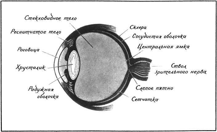 Девять цветов радуги - i_023.jpg