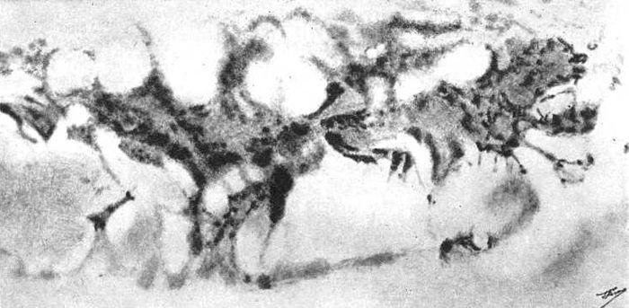 Девять цветов радуги - i_055.jpg