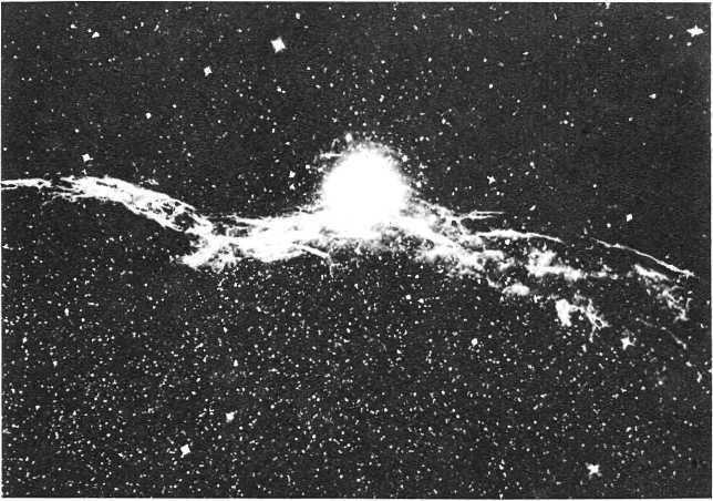 Девять цветов радуги - i_059.jpg