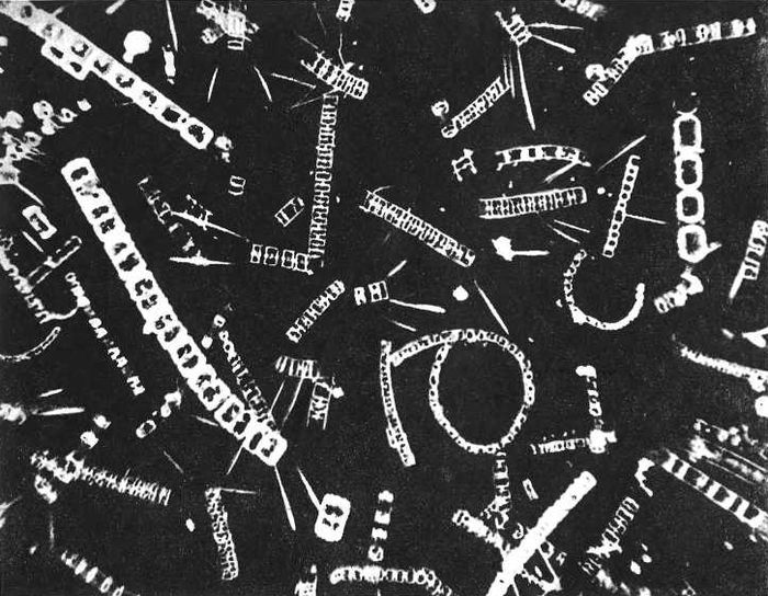 Девять цветов радуги - i_081.jpg