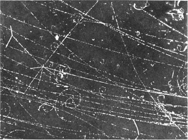 Девять цветов радуги - i_120.jpg