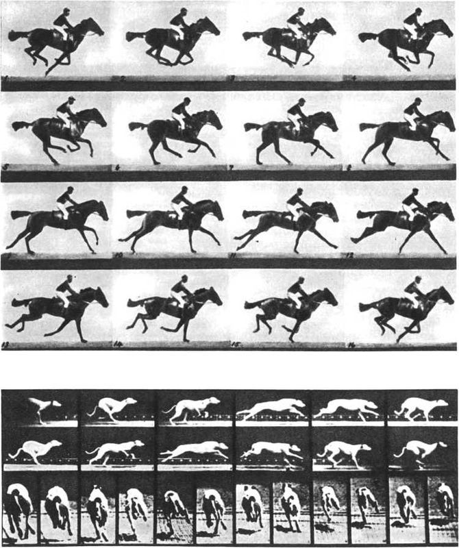 Девять цветов радуги - i_122.jpg