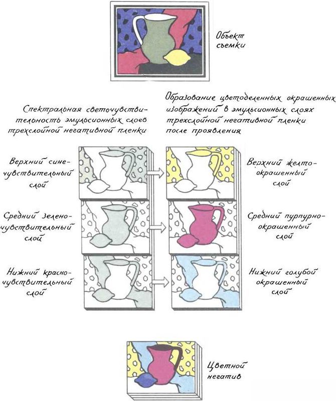 Девять цветов радуги - i_182.jpg