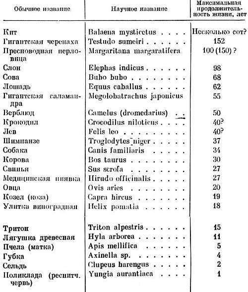 Геронтология. Учение о старости и долголетии - _06.jpg