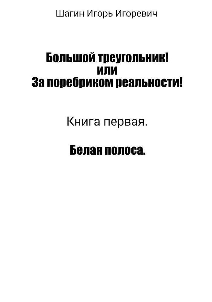 Большой треугольник! или За поребриком реальности! Книга первая - _1.jpg