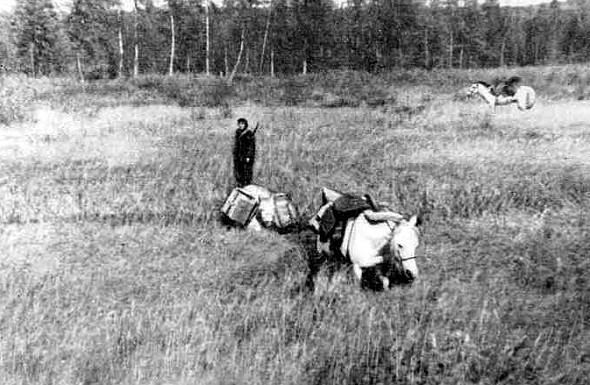 На Золотой Колыме. Воспоминания геолога - i_027.jpg