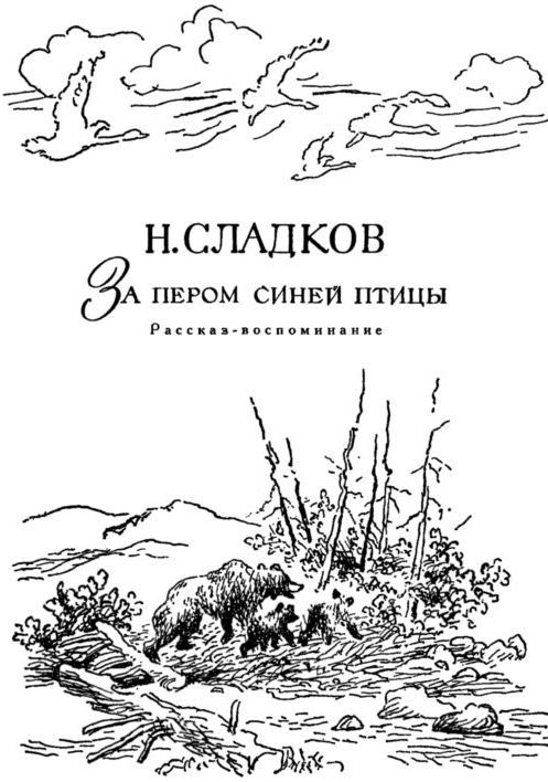 Библиотека мировой литературы для детей (Том 30. Книга 2) - i_020.jpg