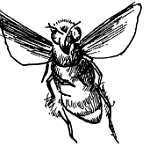 Пчелы и медицина - _28.jpg