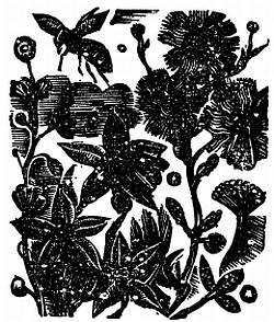 Пчелы и медицина - _36.jpg_0