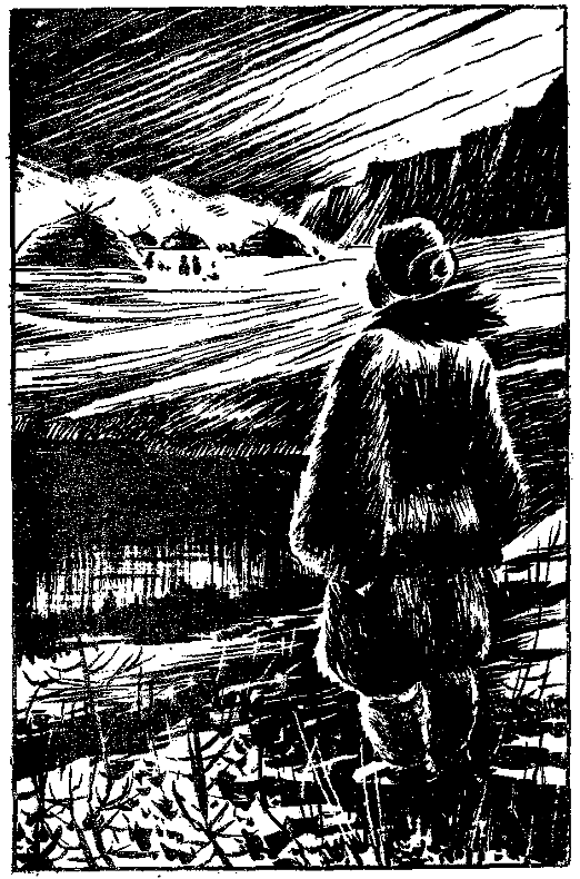 Пламя над тундрой - i_005.png