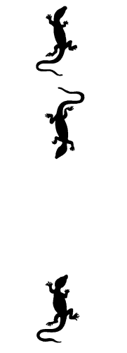 Головоломки профессора Головоломки. Сборник загадок, фокусов и занимательных задач - i_011.png