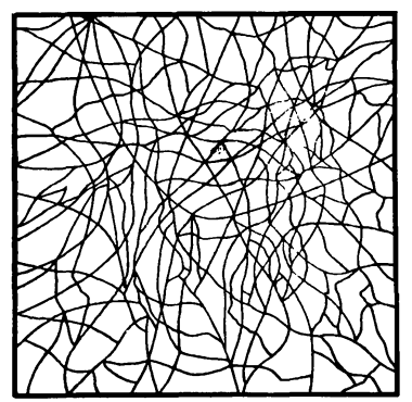 Головоломки профессора Головоломки. Сборник загадок, фокусов и занимательных задач - i_023.png