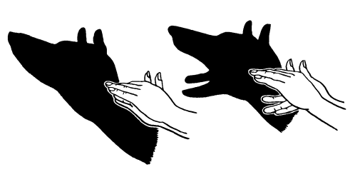 Головоломки профессора Головоломки. Сборник загадок, фокусов и занимательных задач - i_030.png