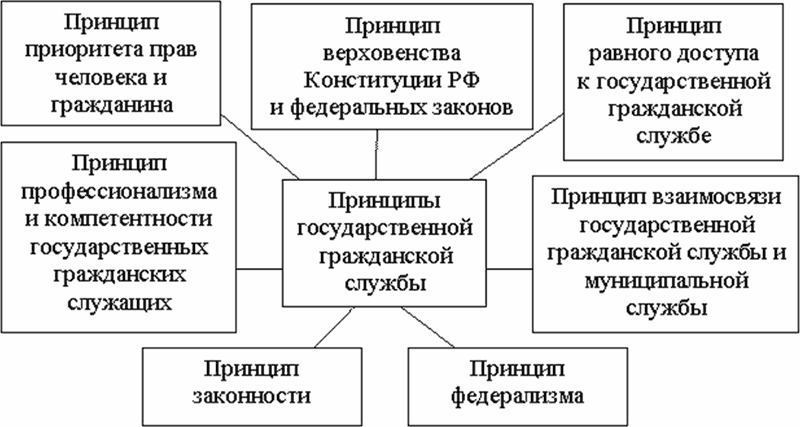 Административное право. Том I - _01.png