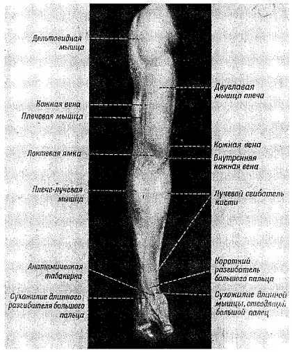 Спортивный массаж - _104.jpg