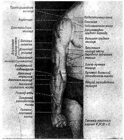 Спортивный массаж - _105.jpg