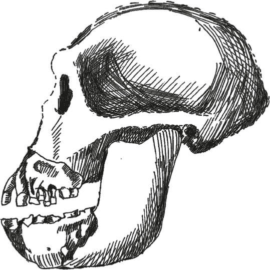 Достающее звено. Книга 2. Люди - i_004.png