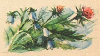 Звук паутинки - i_016.jpg