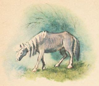 Звук паутинки - i_017.jpg