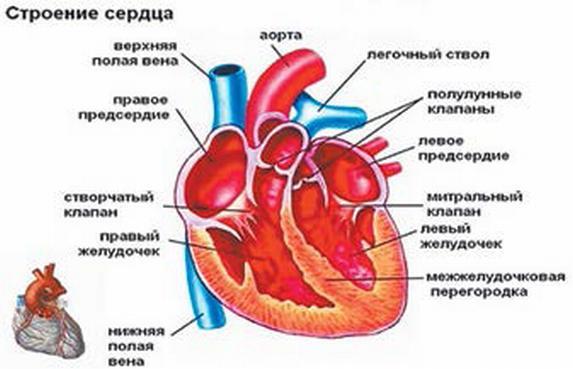 Сборник статей и публикаций 2012-2013 гг. В двух частях. Часть II - _026.jpg