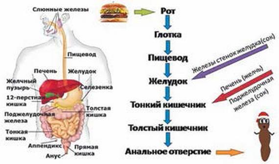 Сборник статей и публикаций 2012-2013 гг. В двух частях. Часть II - _027.jpg