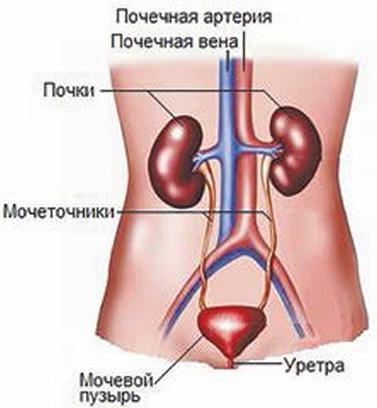 Сборник статей и публикаций 2012-2013 гг. В двух частях. Часть II - _028.jpg