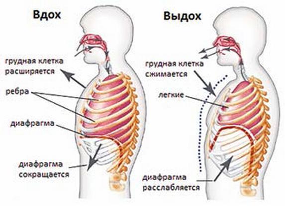 Сборник статей и публикаций 2012-2013 гг. В двух частях. Часть II - _065.jpg