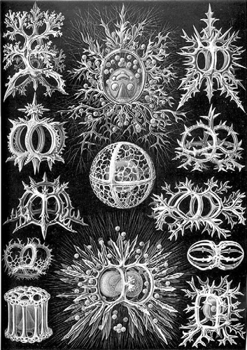 Как было на самом деле. Каждая история желает быть рассказанной - i_143.jpg