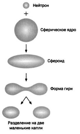 Получение энергии. Лиза Мейтнер. Расщепление ядра - _2.jpg