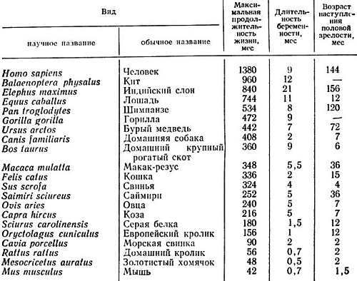 Биохимия старения - _01.jpg