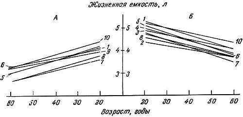 Биохимия старения - _03.jpg