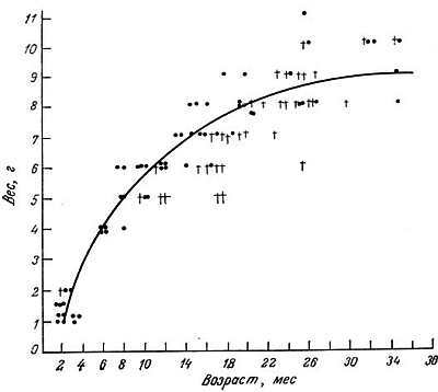 Биохимия старения - _01.jpg_0