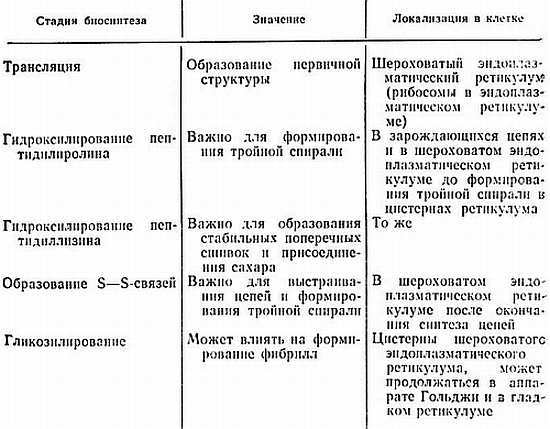 Биохимия старения - _12.jpg_0