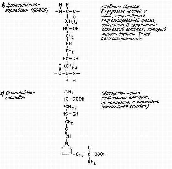 Биохимия старения - _17.jpg_0