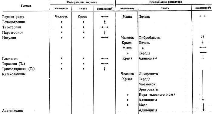 Биохимия старения - _28.jpg_0