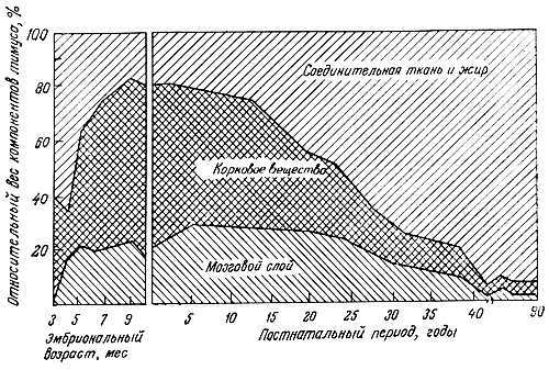 Биохимия старения - _55.jpg