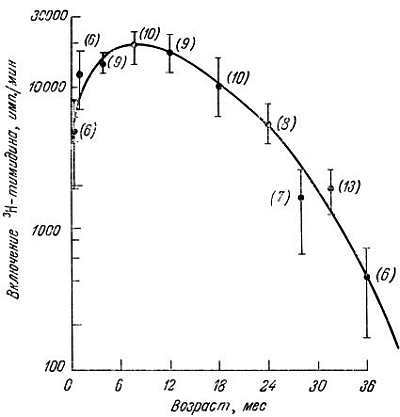 Биохимия старения - _56.jpg