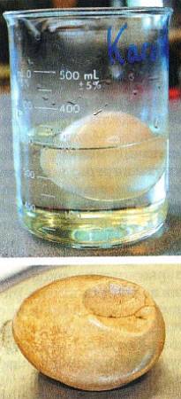 Юный техник, 2012 № 11 - _48.jpg