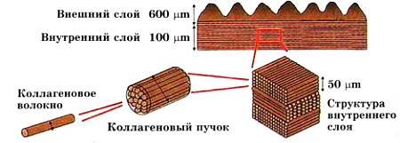 Юный техник, 2012 № 08 - _18.jpg