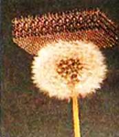 Юный техник, 2012 № 07 - _19.jpg